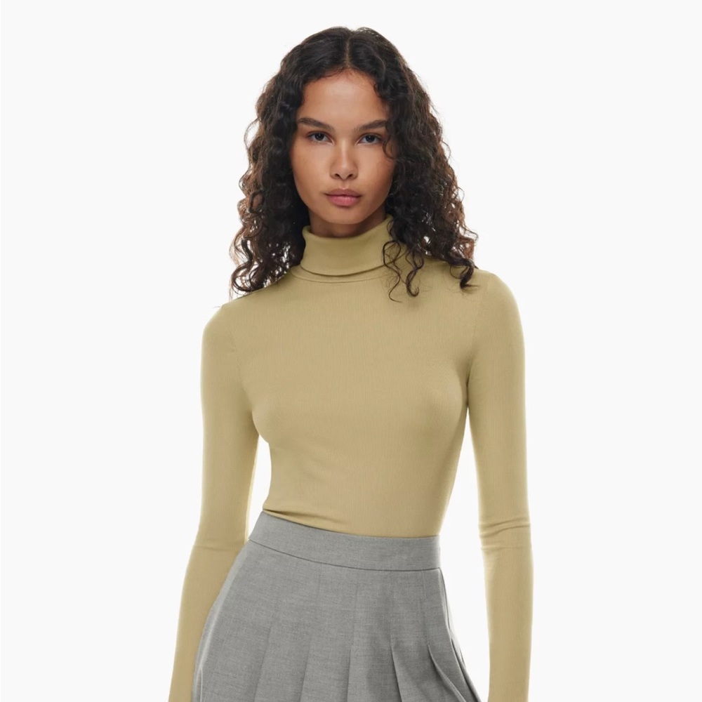 Aritzia Sunday Best Freshman Turtleneck